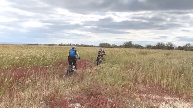 Лиман Витязево