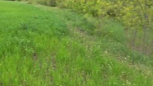 Плодосовхоз Сады Придония и Поля