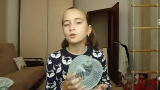 Что нужно для содержания хомяков???