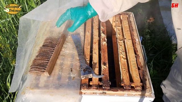 пчеловодство, постановка корпусов на семью зимовавшую на канди смотреть онлайн