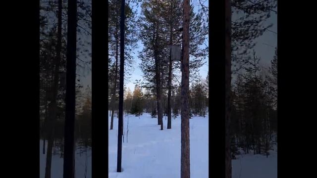 Тропа Здоровья смотреть онлайн