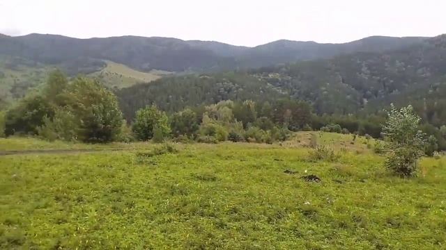путешествие по Белокуриха Алтайского края лето 2023 смотреть онлайн