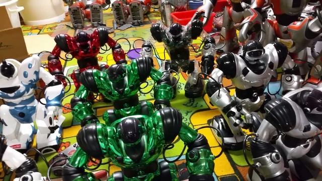 Robosapien Review