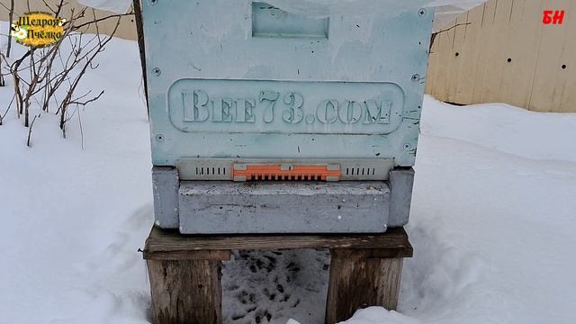 пчеловодство экстренное включение холодная весна смотреть онлайн