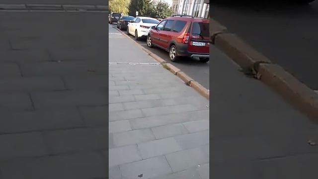 10.08.21г оперативная мыслительная деятельность спец. отдела смотреть онлайн