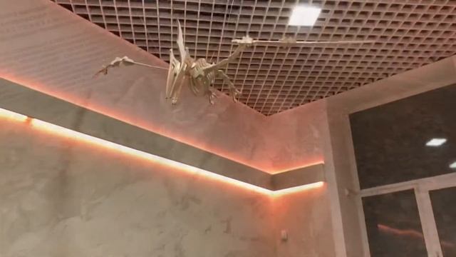 Новый отдел природы🦖