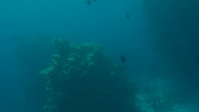 Экскурсия в Шарм-эль шейхе , видео 5, 01.03.24, лодка с иллюминаторами смотреть онлайн