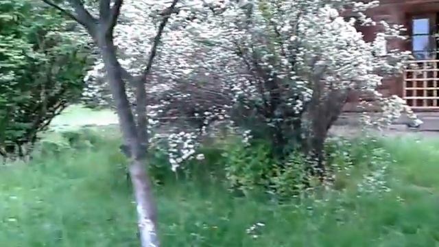 Ужгородський Музей смотреть онлайн