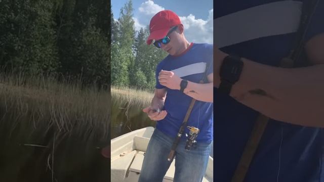Рыбалка смотреть онлайн