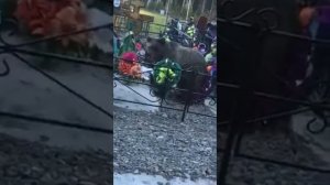 медведь в бугульме😱