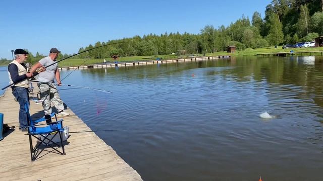 Поймали форельку на бобриный хвостик смотреть онлайн