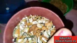 Мешанина для джунгарского хомяка. /Джунгарские хомячки/