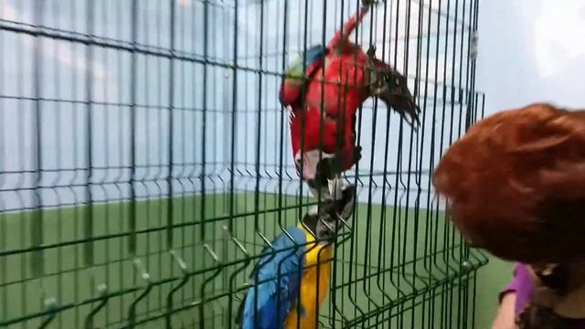 Дом великанов. 2015 смотреть онлайн