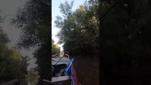 Рыбалка Сибирь смотреть онлайн