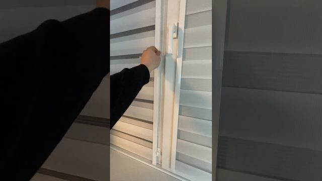 Зебра персия белый смотреть онлайн