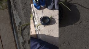 Леска для Bosch AFS 23-37
