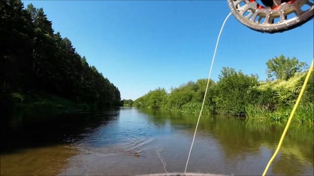 Голавли и длинные штаны