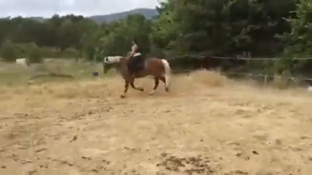 Seance Du 14 Juillet 2018 (bit Fitting Essai Filet 1)