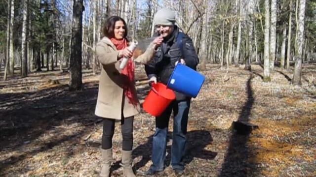 Боремся за чистоту воздуха! смотреть онлайн