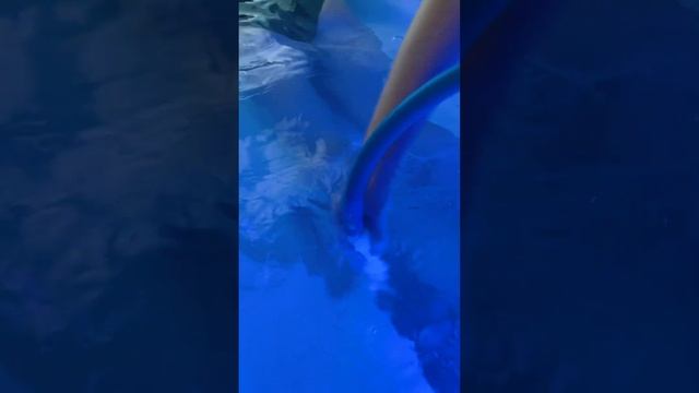 AquaBody смотреть онлайн
