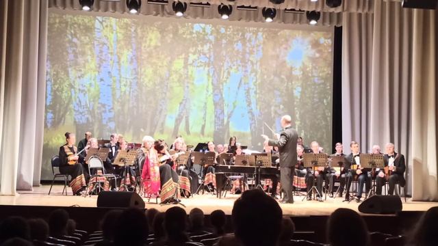 Владимирский русский оркестр 04.04.2021 Евтеева Ольга Владимировна стабилизация смотреть онлайн