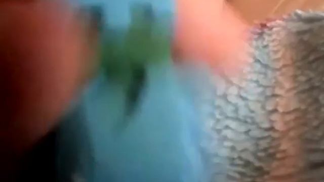 7 октября 2016 г. смотреть онлайн