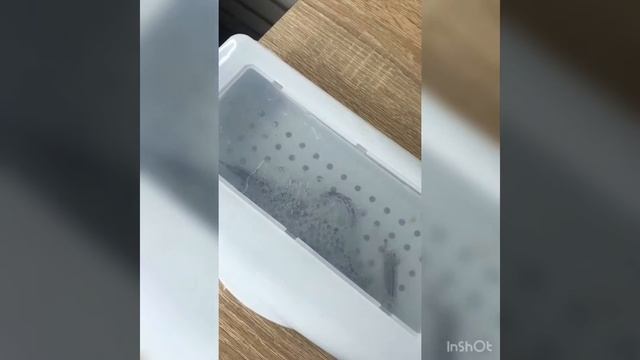Чистка Инструмента смотреть онлайн