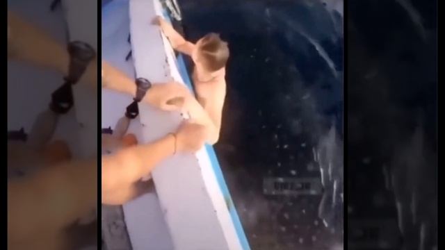 Короткие видео приколы. Прикольные короткие видео ютуб. Случай на рыбалке.