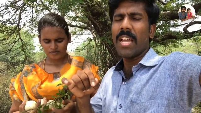 காட்டில் அரிய பழம் வேட்டை||Wood Apple hunt||Tamil||Arikkan Light||AL смотреть онлайн