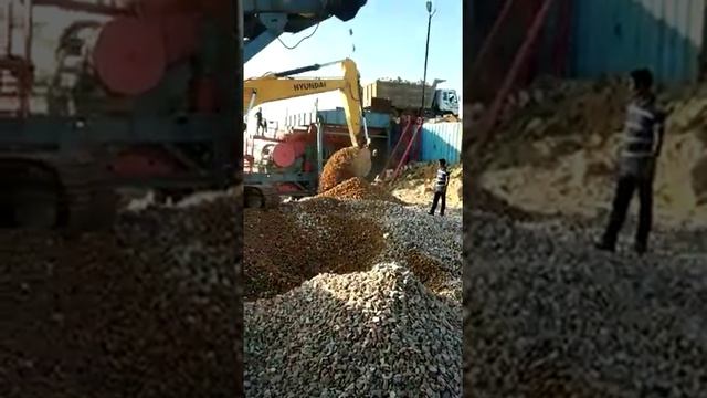 Sankar Gher Stone-Chusher sandvik смотреть онлайн