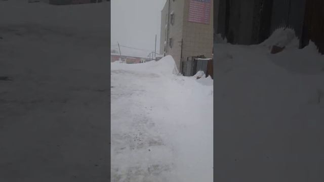 Погода ужас....