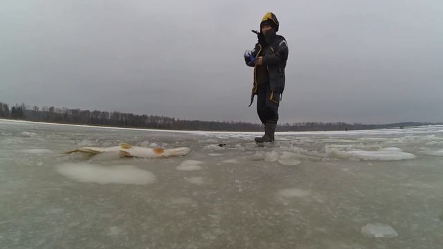 шука на иваньке смотреть онлайн