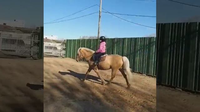 Малькова Анастасия и Брусника г. Тверь смотреть онлайн