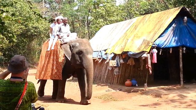 Слоны и питомник смотреть онлайн