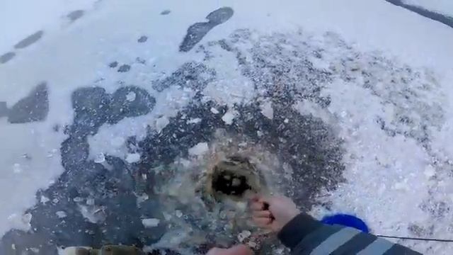 Первая рыбалка 2018 смотреть онлайн