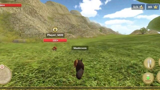 Squirrel Simulator 2 : Online 🐿️ - Play With Friends - Gameplay #2 смотреть онлайн