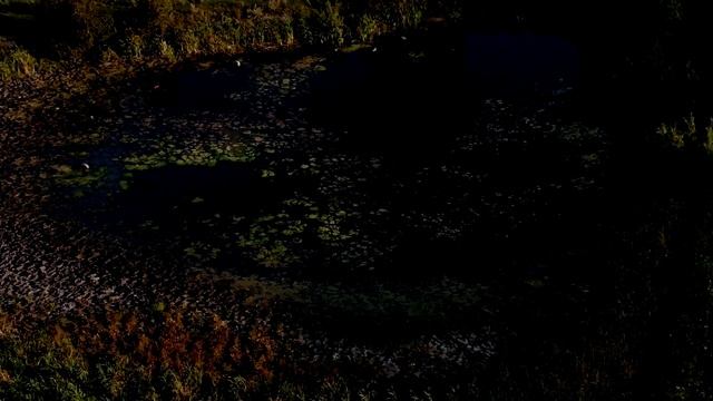 Новая безделушка! DJI Mavic 2 Zoom (Тестовый полёт)