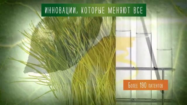 Твое питание и здоровье