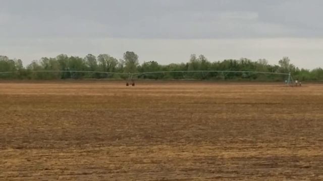 Remote Irrigation System Monitoring смотреть онлайн