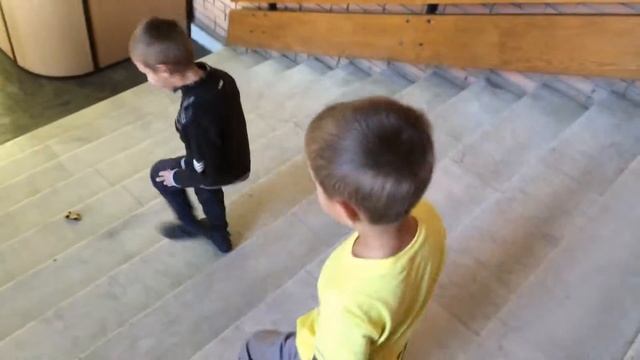 В Палеонтологическом музее Андрюша и Тема смотреть онлайн