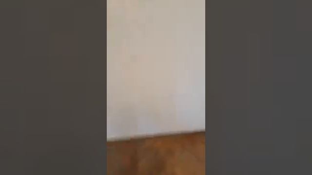 Страшные картины😨 смотреть онлайн