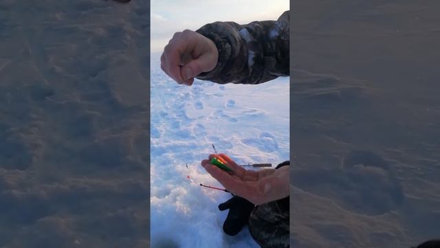 9 февраля 2021 г. смотреть онлайн