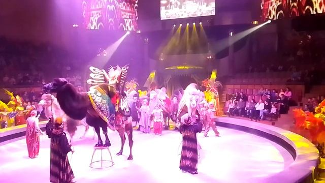 13 января 2023 г. смотреть онлайн