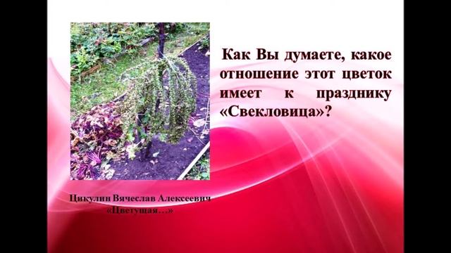 Кохма Музей Свекловица 2020 смотреть онлайн