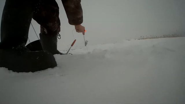 Поклевка Щуки на жерлицу смотреть онлайн