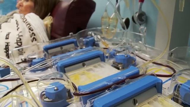 Ваша кроводача решает смотреть онлайн