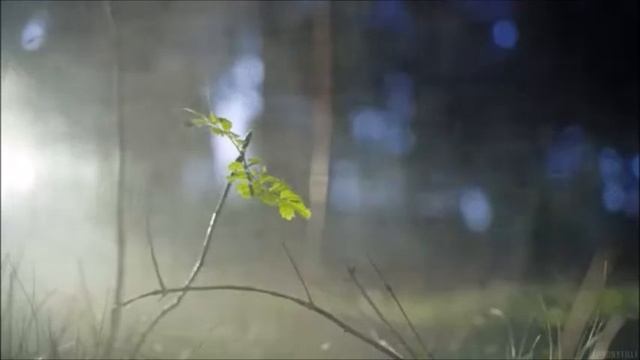 Mac Miller Small Worlds Remake смотреть онлайн