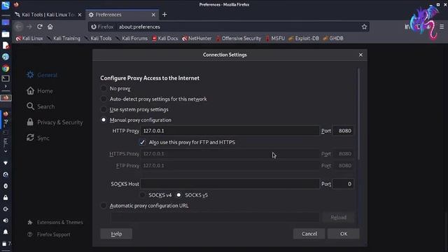 Burp Suite Part-2 | Bangla Kali Linux Tools Basic Example 21 |How to use Burp Suite tool смотреть онлайн