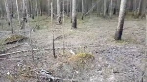 Сталинские репрессии, останки северных ГУЛАГов на ЯНАО