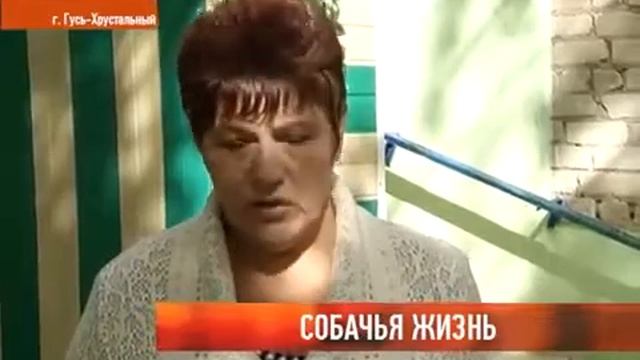 Гусь-Хрустальный. Собачья жизнь. смотреть онлайн